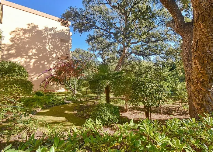 Le Capricorne By Interhome Saint-Raphaël